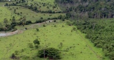 Governo prorroga prazo para georreferenciamento de imóveis rurais