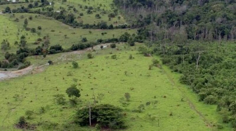 Governo prorroga prazo para georreferenciamento de imóveis rurais