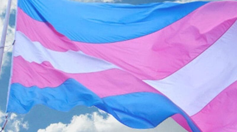 Preconceito dificulta rastreio e tratamento de câncer em pessoas trans