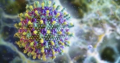 Nipah: saiba mais sobre o vírus que preocupa a Ásia