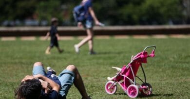 Licença-paternidade de até 20 dias é aprovada no Senado 