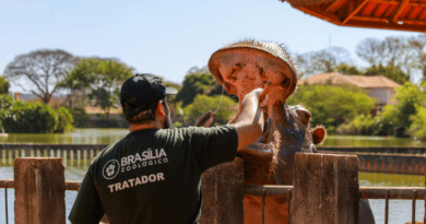 Europa apoia guerra dos EUA e Israel contra Irã; Espanha diverge