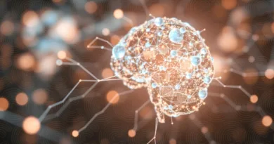 Projeto apoiado pela FAPDF investiga desafios e limites para uso responsável da inteligência artificial no Brasil Projeto apoiado pela FAPDF investiga desafios e limites para uso responsável da inteligência artificial no Brasil