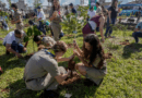 COP15 no Brasil promove conexão entre povos e territórios