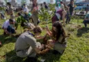 COP15 no Brasil promove conexão entre povos e territórios