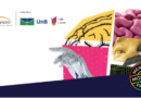 UnB abre 150 vagas para residência em inteligência artificial com bolsa de R$ 1,5 mil; veja como se inscrever