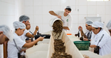 Consulta sobre bens sustentáveis no acordo Mercosul–UE acaba na quarta