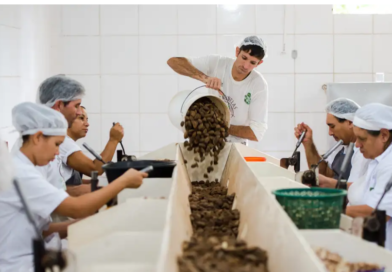 Consulta sobre bens sustentáveis no acordo Mercosul–UE acaba na quarta